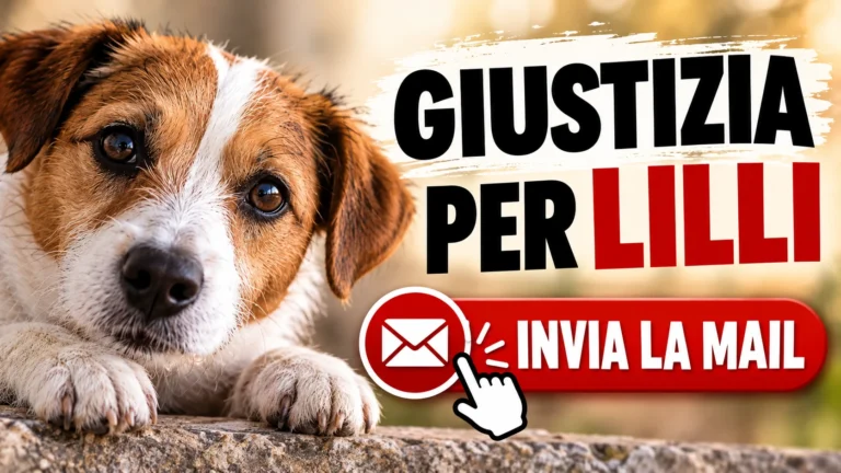 BASSANO DEL GRAPPA (VI) – CAGNOLINA LILLI UCCISA BRUTALMENTE DURANTE UN TENTATIVO DI FURTO – RICHIESTA DI ACCERTAMENTI E GIUSTIZIA