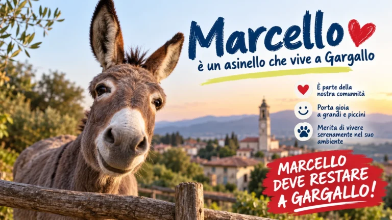 Gargallo (NO) – Richiesta di tutela per l’asinello Marcello e sospensione dell’eventuale allontanamento