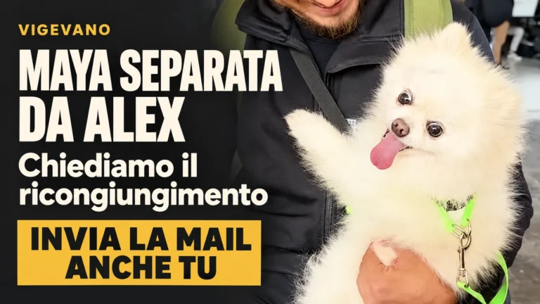 Richiesta di riesame del sequestro di Maya e ricongiungimento con Alex a Vigevano