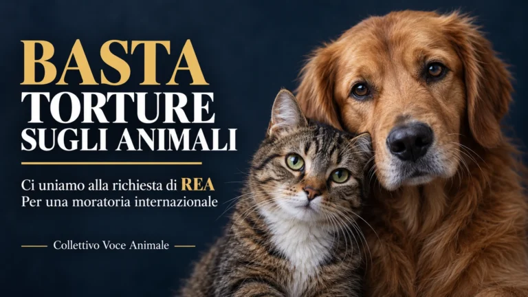 Adesione alla richiesta di REA per una moratoria internazionale contro le torture sugli animali e la loro diffusione online