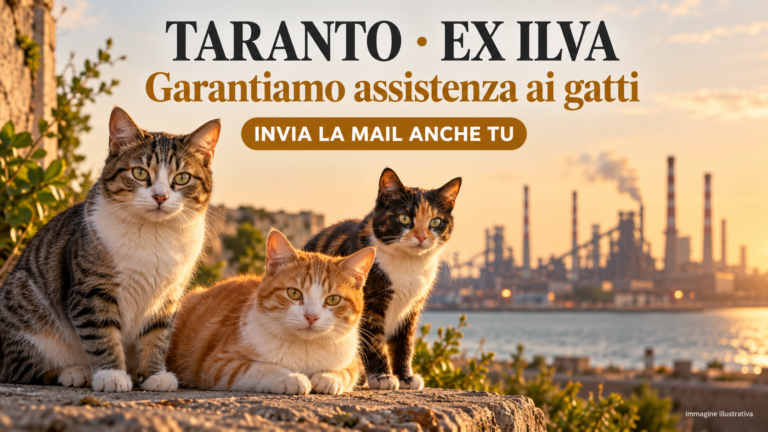 Richiesta di verifiche e intervento a tutela dei gatti dell’ex Ilva di Taranto