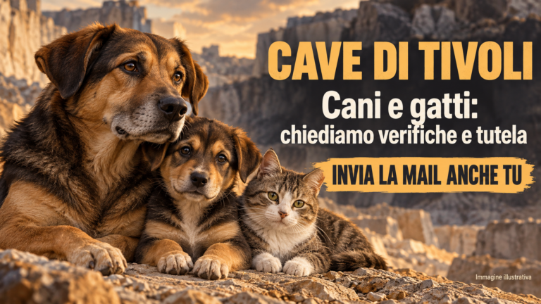 Richiesta di accertamenti sull’assistenza ai cani e ai gatti delle cave di Tivoli